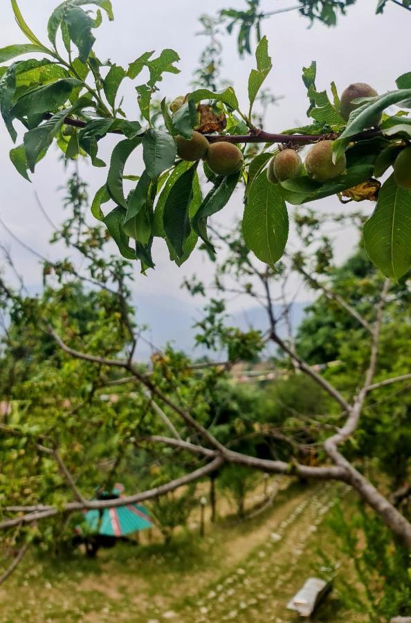 The Kanatal Arbour 卡纳塔尔 外观 照片