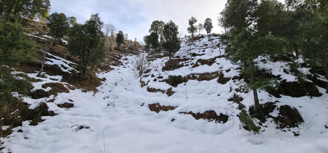 The Kanatal Arbour 卡纳塔尔 外观 照片
